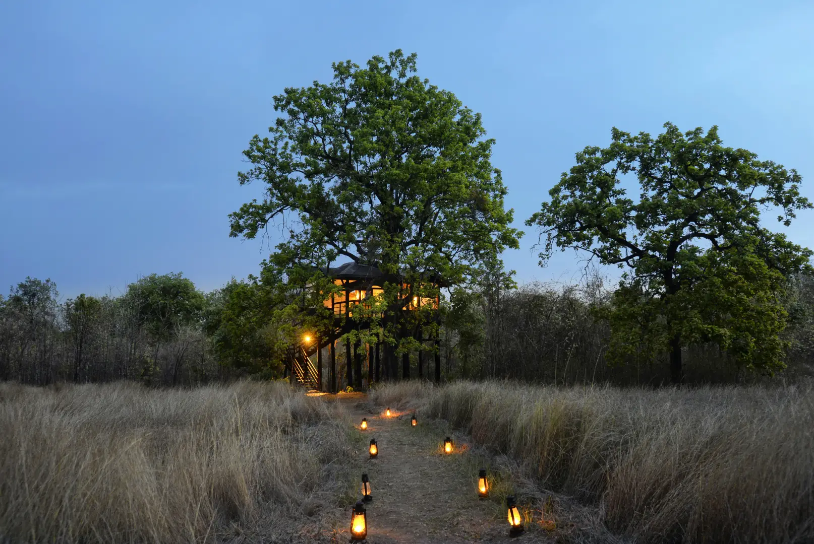 treehouse-pench